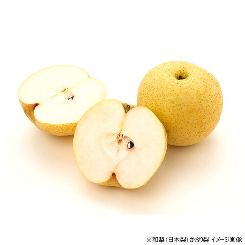 【出荷間近】山形県産 和梨 かおり梨 2kg (秀品/3玉〜5玉入り) 梨 香梨 ギフト 贈り物 贈答 ご家庭用 果物 フルーツ 山形県 お取り寄せ_2