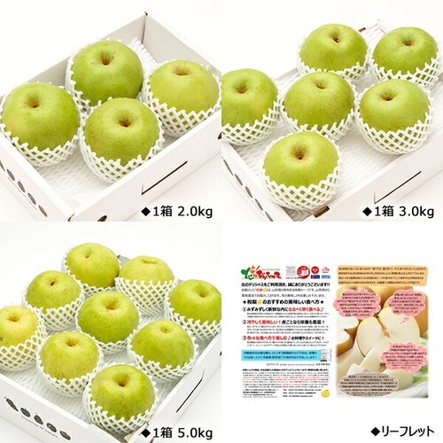 【出荷間近】山形県産 和梨 かおり梨 2kg (秀品/3玉〜5玉入り) 梨 香梨 ギフト 贈り物 贈答 ご家庭用 果物 フルーツ 山形県 お取り寄せ_3