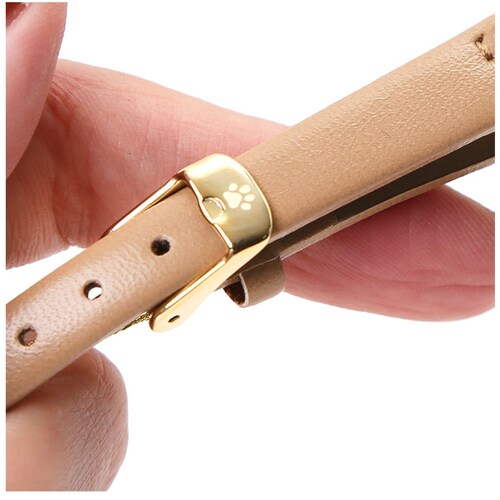 �r���v ���f�B�[�X �v�x���g �˂� �ʔ� �E�H�b�` ���v �L �L�� ���� �l�R�^ �u�����h ���� �����p ���̎q ������ ���w�� ���Z�� catmint �J�W���A�� ���킢�� �������y������s�z_8