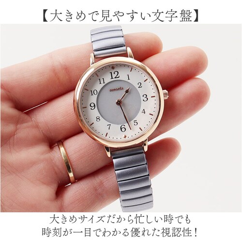 �t�B�[���h���[�N �r���v �ʔ� �\�[���[�E�H�b�` ASS171 �W���A ���v ���f�B�[�X �\�[���[ �֕��x���g FieldWork ���{�����[�u�����g �傫�� ���蕨 �M�t�g �N���X�}�X ��̓� �I�t_3