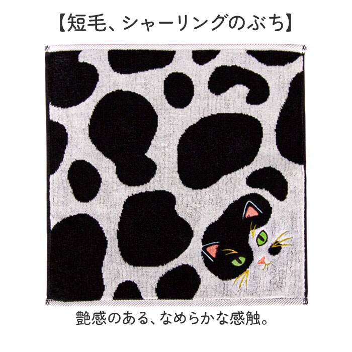 ぶち 今治タオル ハンカチ 25cm×25cm 通販 日本製 プレーリードッグ