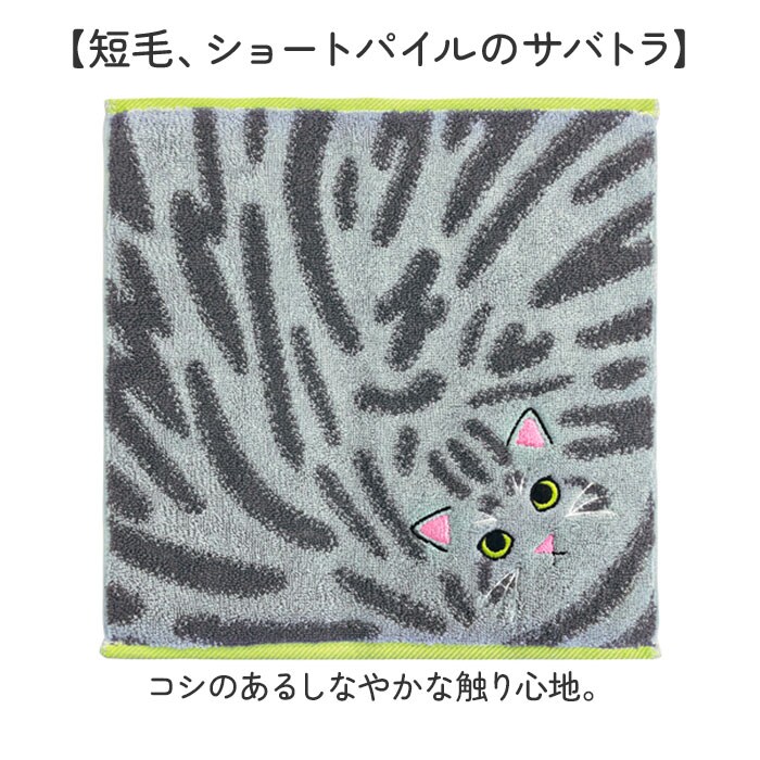 ぶち 今治タオル ハンカチ 25cm×25cm 通販 日本製 プレーリードッグ