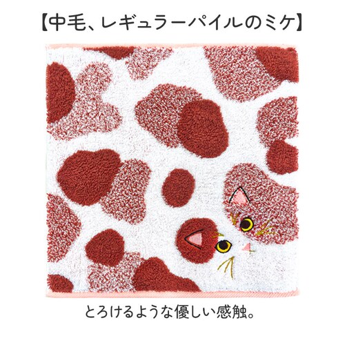 �����^�I�� �n���J�` 25cm�~25cm �ʔ� ���{�� �v���[���[�h�b�O UNJ-80 �ѕ��݃n���J�` �^�I���n���J�` �n���h�^�I�� �n���J�`�^�I�� �L �˂� �h�J ���킢�� ������� uchinok_10