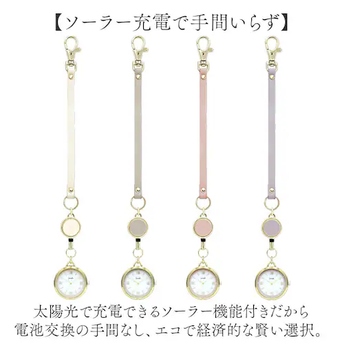 �������v �\�[���[ �ʔ� �\�[���[�E�H�b�` ���[�� �E�H�b�` �i�[�X�E�H�b�` ASS178 �T�E�� ���v ���f�B�[�X FieldWork ���{�����[�u�����g �o�b�O�`���[�� ���蕨 �M�t�g �Ō�t ��_2