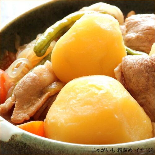 �y�o�ג��z�k�C���Y ���Ⴊ���� ���[�N�C�� 3kg (JA����/�퉷��) ���C�N�C�� �W���K�C�� �k�C�� �����񂹁y������s�z_1