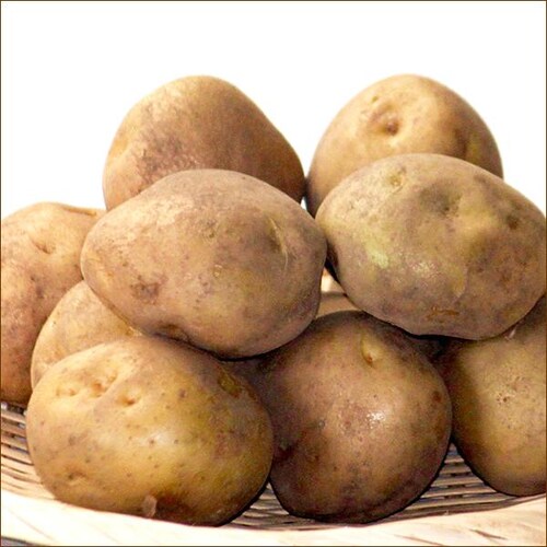 �y�o�ג��z�k�C���Y ���Ⴊ���� �j�ݏ� 3kg (JA����/�퉷) �j�݂��� �W���K�C�� �k�C�� �����񂹁y������s�z_3