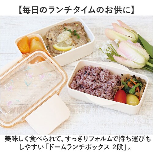 �����`�{�b�N�X 2�i �h�[�� �ʔ� �h�[�������`�{�b�N�X �h�[�������` ���ٓ��� �ٓ��� ���ٓ� �ٓ� �����` �� �j�i ���킢�� ���� ���f�B�[�X ���̎q ���� ���q ��l �q�� �q�ǂ� ���w�� _1