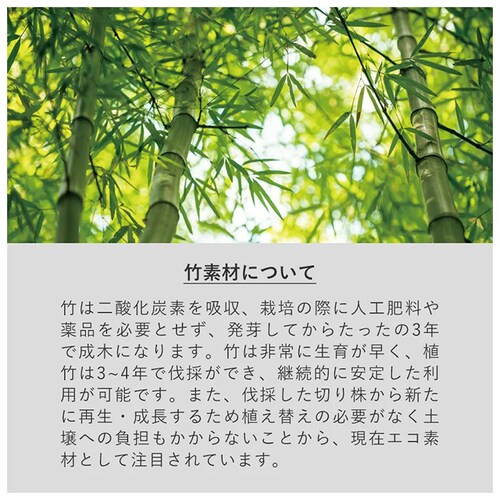 �� �X�v�[�� �t�H�[�N �X�g���[ �Z�b�g �ʔ� �X�g���[�u���V �J�g�����[�Z�b�g ��l�p ������� �J�g�����[�P�[�X �z ���ٓ� ���� �͂� ������ �����Y ���f�B�[�X �| �G�R 5�_�Z�b�g �����`�O_3