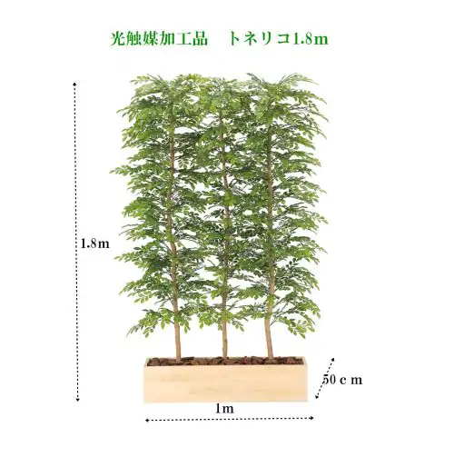 �l�H�ϗt�A���@�O���[���p�[�e�[�V�����@�g�l���R1.8���@���G�}���H�@_1