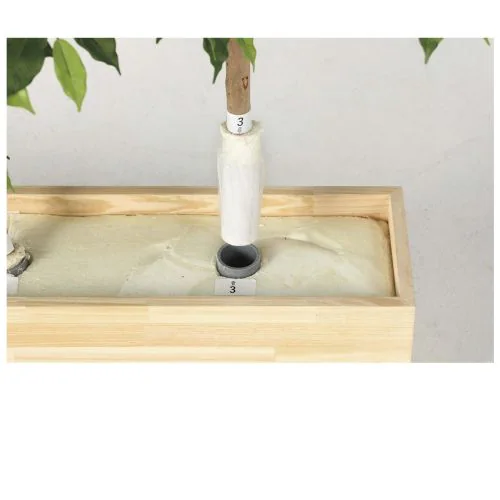 �l�H�ϗt�A���@�O���[���p�[�e�[�V�����@�g�l���R1.8���@���G�}���H�@_2