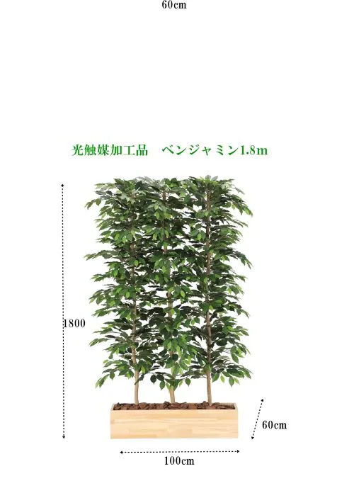 �l�H�ϗt�A���@�x���W���~��1.8���p�[�e�[�V�����@���G�}���H_1