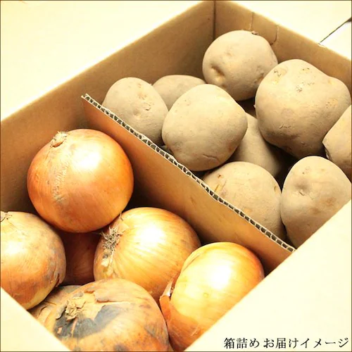 【出荷中】北海道産セット As 5kg (男爵いも 3kg・玉ねぎ 2kg) じゃが玉セット 北海道 お取り寄せ【代引き不可】_3