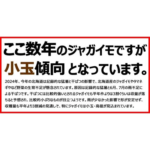 【出荷中】北海道産セット As 5kg (男爵いも 3kg・玉ねぎ 2kg) じゃが玉セット 北海道 お取り寄せ【代引き不可】_7