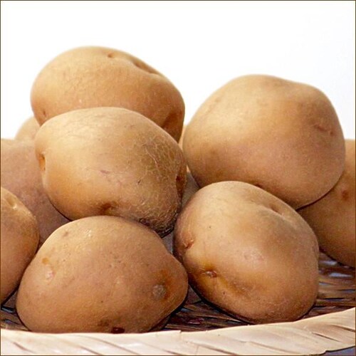 【出荷中】北海道産セット As 5kg (男爵いも 3kg・玉ねぎ 2kg) じゃが玉セット 北海道 お取り寄せ【代引き不可】_20