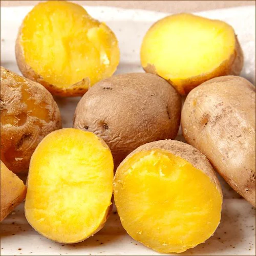 【出荷中】北海道産セット As 5kg (男爵いも 3kg・玉ねぎ 2kg) じゃが玉セット 北海道 お取り寄せ【代引き不可】_22