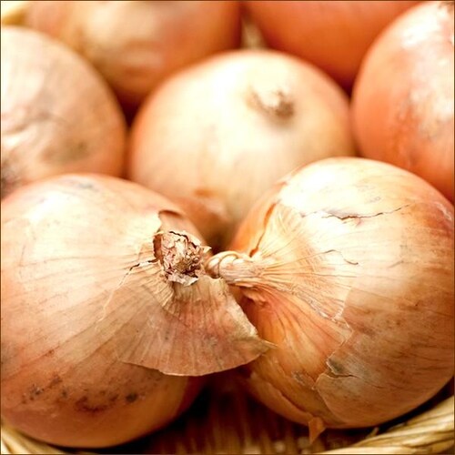 【出荷中】北海道産セット As 5kg (男爵いも 3kg・玉ねぎ 2kg) じゃが玉セット 北海道 お取り寄せ【代引き不可】_26