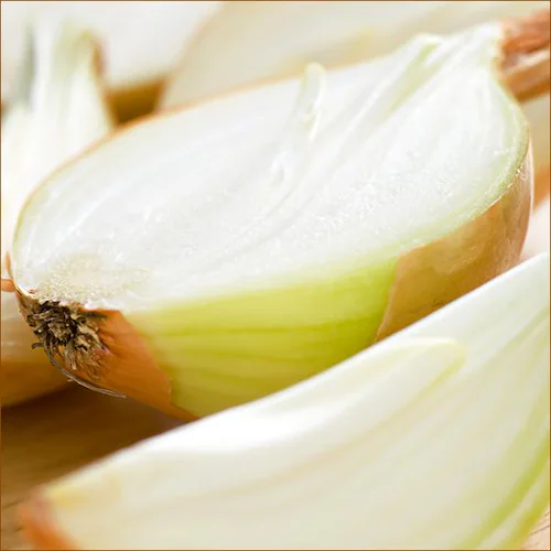 【出荷中】北海道産 玉ねぎ 3kg (JA共撰/常温便) たまねぎ タマネギ 玉ネギ 玉葱 野菜 北海道 お取り寄せ_2