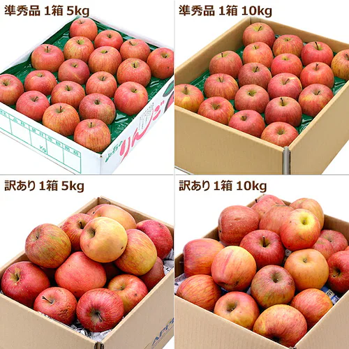 【予約】山形県産 ご家庭用 りんご サンつがる 5kg (準秀品/13玉〜23玉入り/冷蔵便) 訳あり お取り寄せ_4