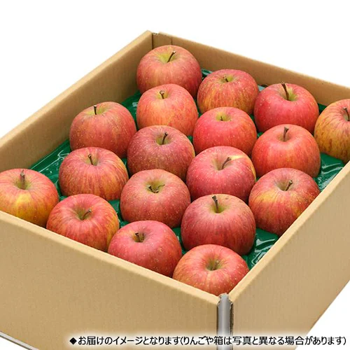 【予約】山形県産 ご家庭用 りんご サンつがる 5kg (準秀品/13玉〜23玉入り/冷蔵便) 訳あり お取り寄せ_11