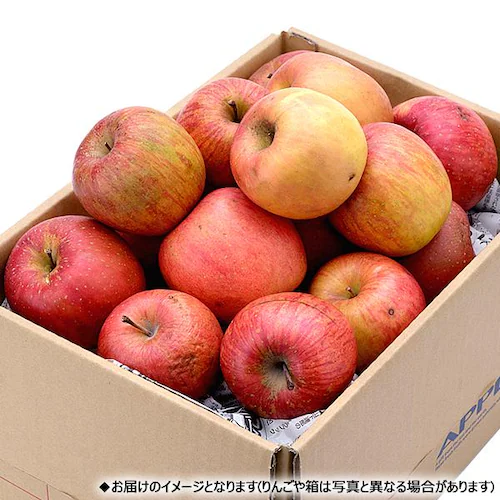 【予約】山形県産 ご家庭用 りんご サンつがる 5kg (準秀品/13玉〜23玉入り/冷蔵便) 訳あり お取り寄せ_12