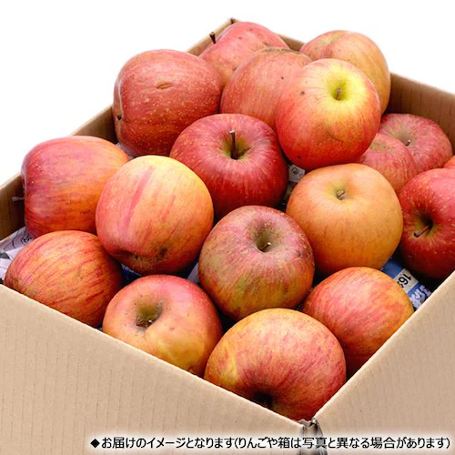 【予約】山形県産 ご家庭用 りんご サンつがる 5kg (準秀品/13玉〜23玉入り/冷蔵便) 訳あり お取り寄せ_14
