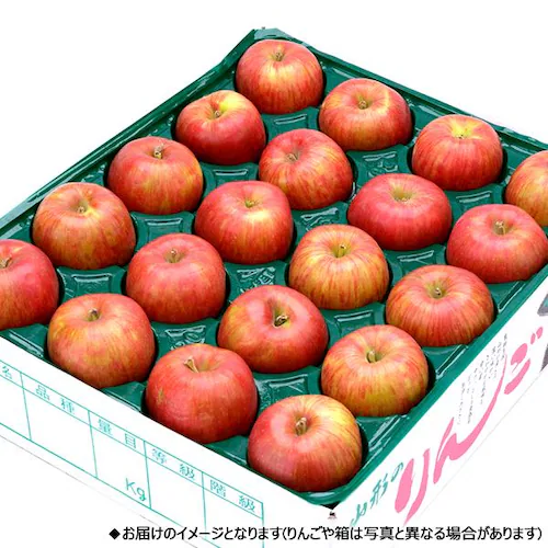 【出荷中】山形県産 ご家庭用 りんご シナノスイート 5kg (準秀品/12玉〜23玉入り) 秋の味覚 リンゴ 林檎 訳あり ご自宅用 果物 フルーツ 山形県 お取り寄せ_3