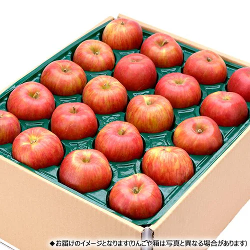 【出荷中】山形県産 ご家庭用 りんご シナノスイート 5kg (準秀品/12玉〜23玉入り) 秋の味覚 リンゴ 林檎 訳あり ご自宅用 果物 フルーツ 山形県 お取り寄せ_11