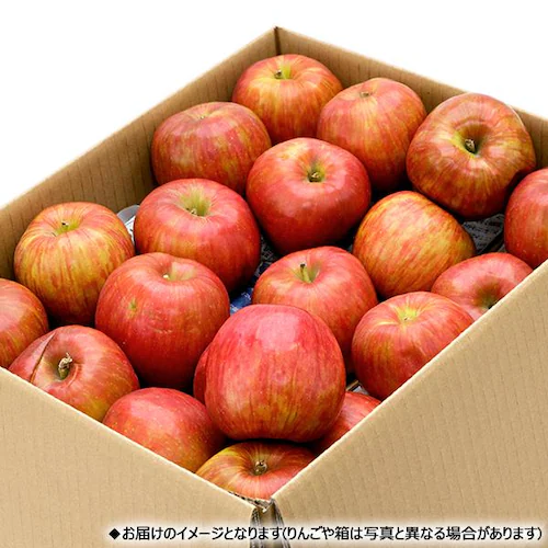【出荷中】山形県産 ご家庭用 りんご シナノスイート 5kg (準秀品/12玉〜23玉入り) 秋の味覚 リンゴ 林檎 訳あり ご自宅用 果物 フルーツ 山形県 お取り寄せ_21