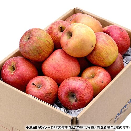 �y�o�ג��z�R�`���Y ���ƒ�p ��� �����ӂ� 5kg (���G�i/14�ʁ`23�ʓ���) ��� �ь� ����p �ƒ�p �������p �ʕ� �t���[�c �R�`�� �Y�n���� ������_13