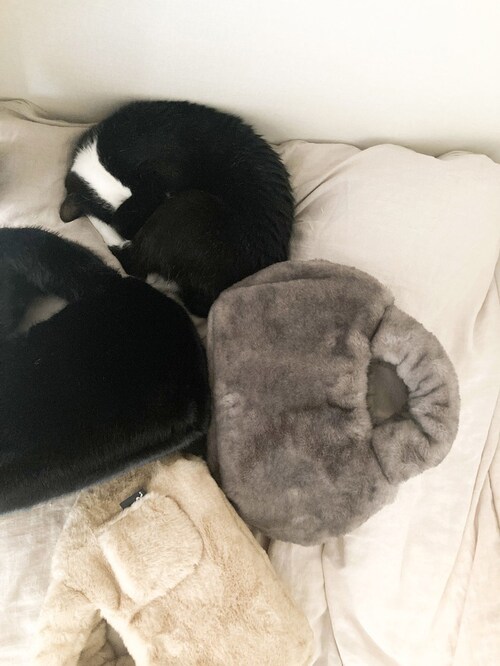 ���[�g�[�g �g�[�g�o�b�O ROOTOTE 1325 �ʔ� �~�j�g�[�g �g�[�g�o�b�N �g�[�g �o�b�O ��񂰃o�b�O ���f�B�[�X ������ ���킢�� �ӂ�ӂ� �������� DELI �f�� �t�@�[�u�����P�b�g _5