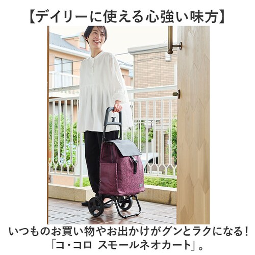 cocoro �R �R�� �V���b�s���O �J�[�g �ʔ� �V���b�s���O�J�[�g ���������J�[�g �L�����[�o�b�O �L�����[�J�[�g �N�[���[�o�b�O �ۗ�o�b�O 2�� �ۗ� �ۉ� �R�R�� ���b�v ������� ��25l_1