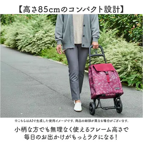 COCORO�V���b�s���O�J�[�g �ʔ� �V���b�s���O�J�[�g �������J�[�g �V���b�s���O�L�����[ �G�R�o�b�O �N�[���[�o�b�O �ۗ�o�b�O ������ �J�[�g ���b�v cocoro �R�R�� �ۗ� �ۉ� 2�� �y_9