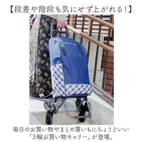 �V���b�s���O�J�[�g 3�� �ʔ� �������L�����[�o�b�O ���������L�����[ ���������J�[�g �ۉ� �ۗ� �L�����[�o�b�O �ۗ�o�b�O �N�[���[�o�b�O ��24L �y�� �O�� �܂Ƃߔ��� �������� ���W���[ ��_1