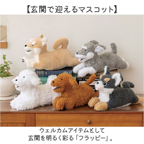 �t���b�s�[ �ʂ������ �N�b�V���� �ʔ� �E�F���J���N�b�V���� �l�` �h�[�� �}�X�R�b�g �E�F���J�� �L�����N�^�[ �� flappee ���킢�� ���� �A�j�}�� ���� �C���e���A�G�� �G�� �O�b�Y _1