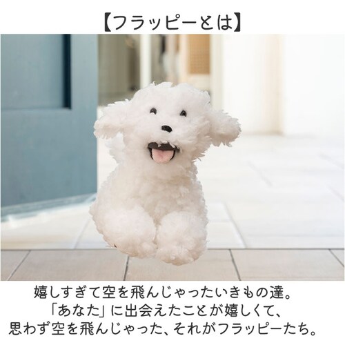 �t���b�s�[ �ʂ������ �N�b�V���� �ʔ� �E�F���J���N�b�V���� �l�` �h�[�� �}�X�R�b�g �E�F���J�� �L�����N�^�[ �� flappee ���킢�� ���� �A�j�}�� ���� �C���e���A�G�� �G�� �O�b�Y _2