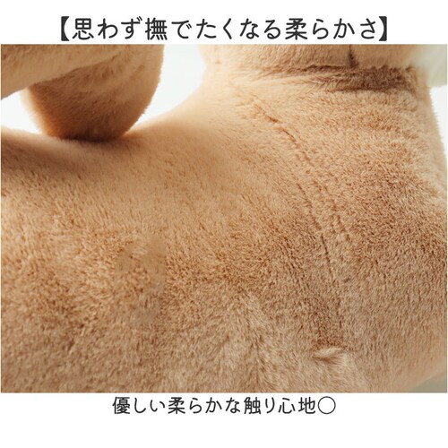 �t���b�s�[ �ʂ������ �N�b�V���� �ʔ� �E�F���J���N�b�V���� �l�` �h�[�� �}�X�R�b�g �E�F���J�� �L�����N�^�[ �� flappee ���킢�� ���� �A�j�}�� ���� �C���e���A�G�� �G�� �O�b�Y _5