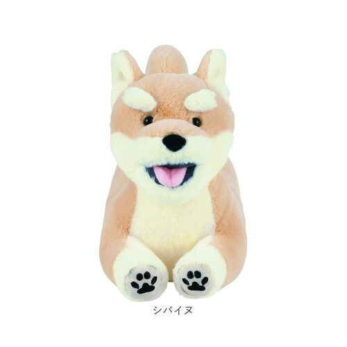 �t���b�s�[ �ʂ������ �N�b�V���� �ʔ� �E�F���J���N�b�V���� �l�` �h�[�� �}�X�R�b�g �E�F���J�� �L�����N�^�[ �� flappee ���킢�� ���� �A�j�}�� ���� �C���e���A�G�� �G�� �O�b�Y _17