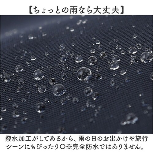 anello GRANDE �����b�N GTM1043 �ʔ� �����b�N�T�b�N �o�b�N�p�b�N �f�C�p�b�N ���f�B�[�X �傫�� A4 �ʊw �ʋ� ���s ���� �L�����[�I�� ������� �V���v�� PC �p�\�R��_9