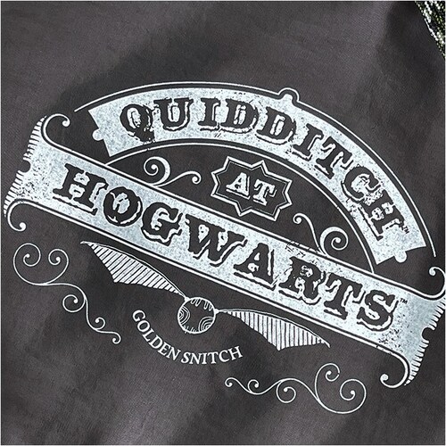 FLAPPER Harry Potter �i�b�v�T�b�N �ʔ� �n���[�|�b�^�[ �R���{ �O�b�Y F251055 �����b�N �����b�N�T�b�N �i�b�v�U�b�N ���f�B�[�X �����Y �y�� �y�� �ʊw �ʋ� ���s _11