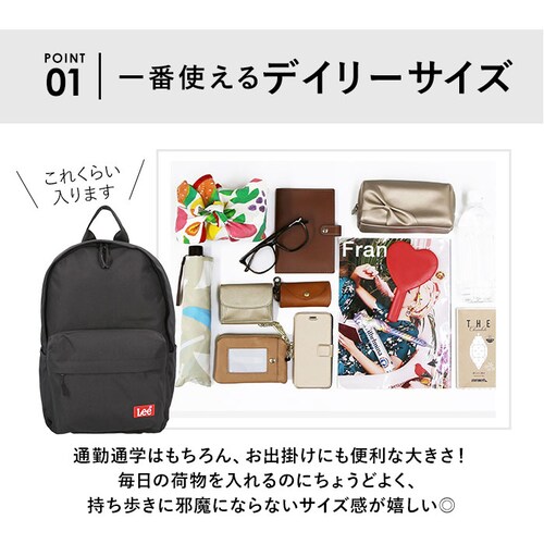 Lee �����b�N 320-3726 ���[ �ʔ� �����b�N�T�b�N �f�C�p�b�N �o�b�N�p�b�N ���f�B�[�X �����Y �� �ʊw ���q �j�q ���Z�� ��w�� ��e�� �ʋ� A4 B4 �u���b�N �V���v�� �J�W��_5