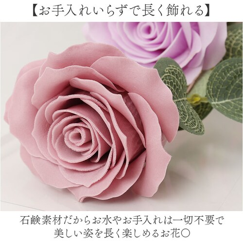 Green house �O���[���n�E�X �\�[�v�t�����[ �A�����W�����g �ʔ� �� �t�����[ ���� �t�����[�M�t�g �΂��� �������� �M�t�g ���蕨 ������� �����o�b�O �N���A�o�b�O GREEN HO_6