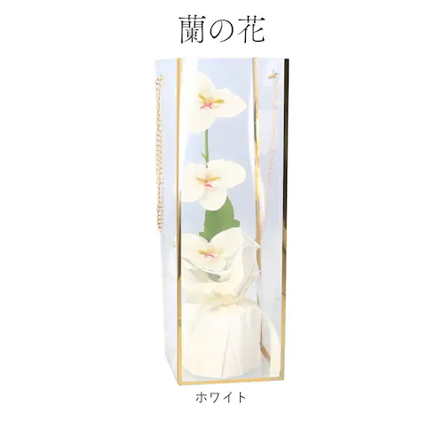 Green house �O���[���n�E�X �\�[�v�t�����[ �A�����W�����g �ʔ� �� �t�����[ ���� �t�����[�M�t�g �΂��� �������� �M�t�g ���蕨 ������� �����o�b�O �N���A�o�b�O GREEN HO_11