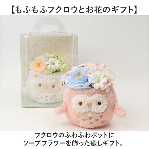 Green house �O���[���n�E�X �\�[�v�t�����[ �A�����W�����g L �ʔ� �t�F�C�N�t�����[ �t�����[�M�t�g �� �t�����[ ���� �M�t�g GREEN HOUSE ���蕨 ������� �ӂ�ӂ� �|�b_1