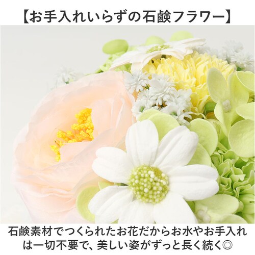 Green house �O���[���n�E�X �\�[�v�t�����[ �A�����W�����g L �ʔ� �t�F�C�N�t�����[ �t�����[�M�t�g �� �t�����[ ���� �M�t�g GREEN HOUSE ���蕨 ������� �ӂ�ӂ� �|�b_3