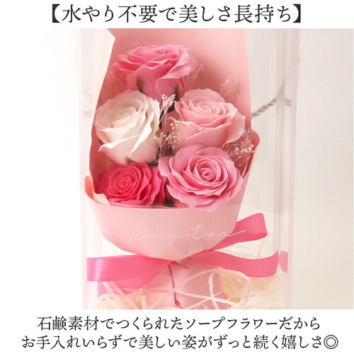 Green house �O���[���n�E�X �\�[�v�t�����[ �X�^���_�[�h �ʔ� �� �t�����[ ���� �t�����[�M�t�g �������� �΂��� �t�F�C�N�t�����[ �M�t�g ���蕨 ������� GREEN HOUSE ��_2