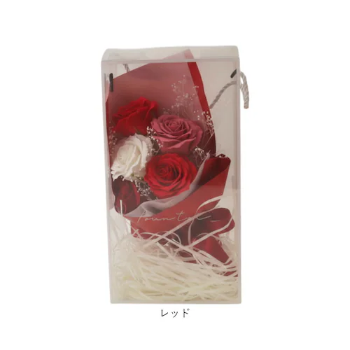 Green house �O���[���n�E�X �\�[�v�t�����[ �X�^���_�[�h �ʔ� �� �t�����[ ���� �t�����[�M�t�g �������� �΂��� �t�F�C�N�t�����[ �M�t�g ���蕨 ������� GREEN HOUSE ��_12