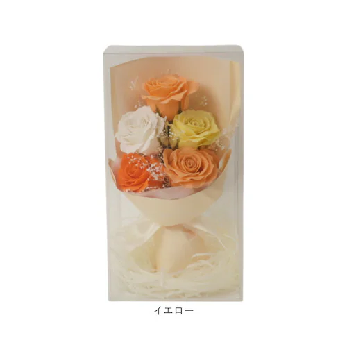 Green house �O���[���n�E�X �\�[�v�t�����[ �X�^���_�[�h �ʔ� �� �t�����[ ���� �t�����[�M�t�g �������� �΂��� �t�F�C�N�t�����[ �M�t�g ���蕨 ������� GREEN HOUSE ��_13