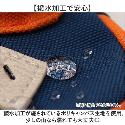 �p�X�P�[�X ���[���t�� �L�[�P�[�X �ʔ� �v���y���w�b�Y propellerheads 11-1774 ���[���t���p�X�P�[�X ������� �p�X�|�[�` ������P�[�X �R�C���P�[�X �����b�N�^�|�[�` ������_2