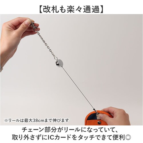 �p�X�P�[�X ���[���t�� �L�[�P�[�X �ʔ� �v���y���w�b�Y propellerheads 11-1774 ���[���t���p�X�P�[�X ������� �p�X�|�[�` ������P�[�X �R�C���P�[�X �����b�N�^�|�[�` ������_4