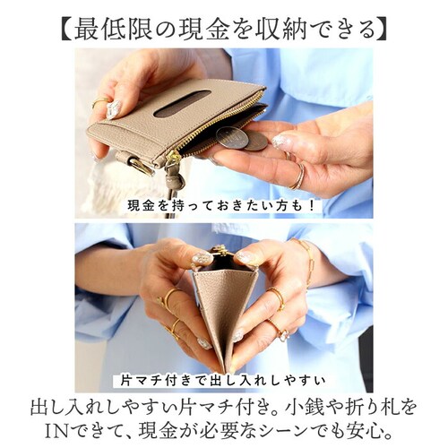 LIZDAYS �p�X�P�[�X �R�C���P�[�X �ʔ� ������� ���f�B�[�X �t���O�����g�P�[�X �{�v ���K���� �J�[�h�z���_�[ �J�[�h���� �J�[�h�P�[�X �~�j���z �~�j�|�[�` �J���r�i ���Y�f�C�Y lz-6_5